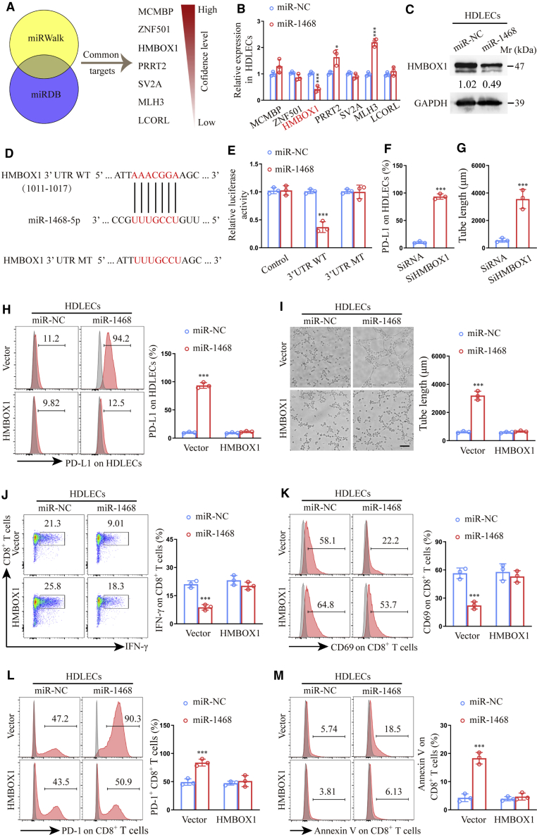 Figure 6