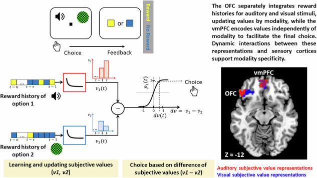 graphic file with name 42003_2024_7253_Figa_HTML.jpg