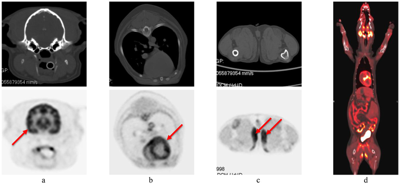 Figure 11.