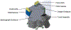 Fig. 10