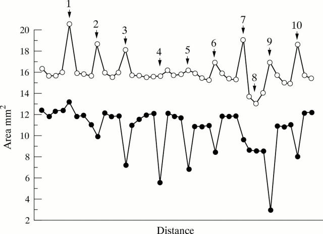 Figure 2  