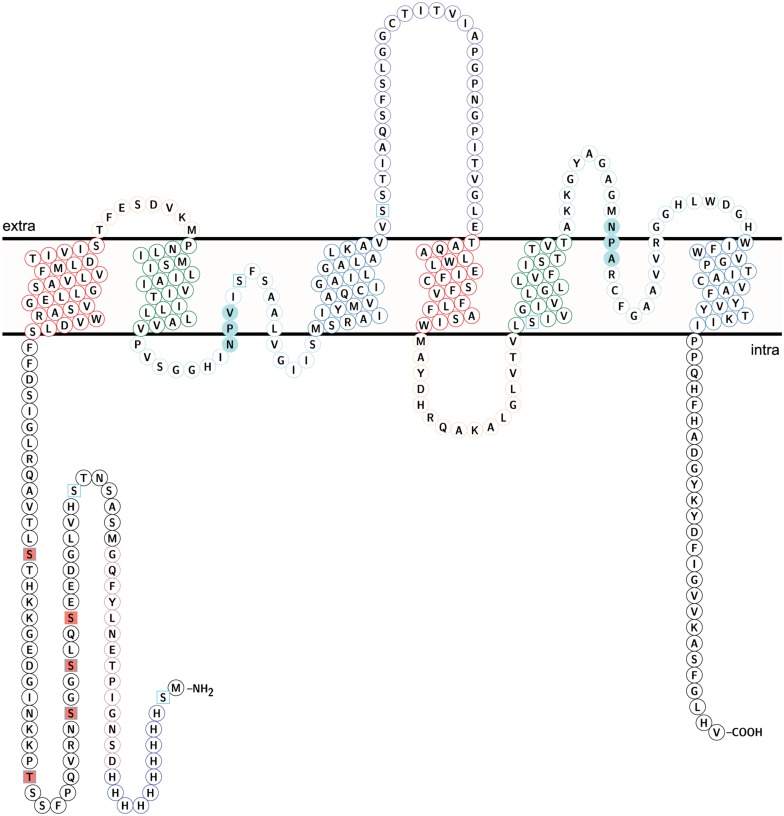 FIGURE 8