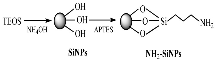 Scheme 1