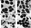 FIG. 5.