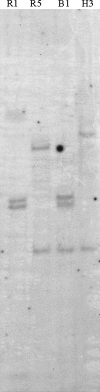 Fig. 1