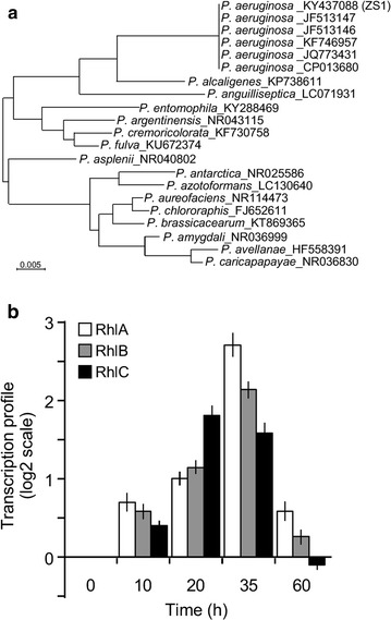 Fig. 2