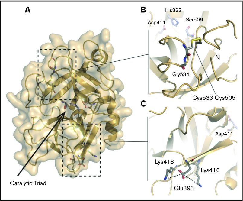 Figure 5.