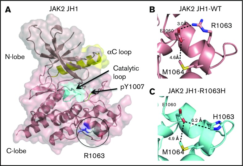 Figure 7.