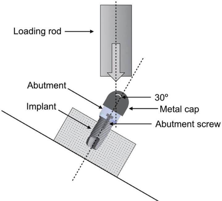 Fig. 2