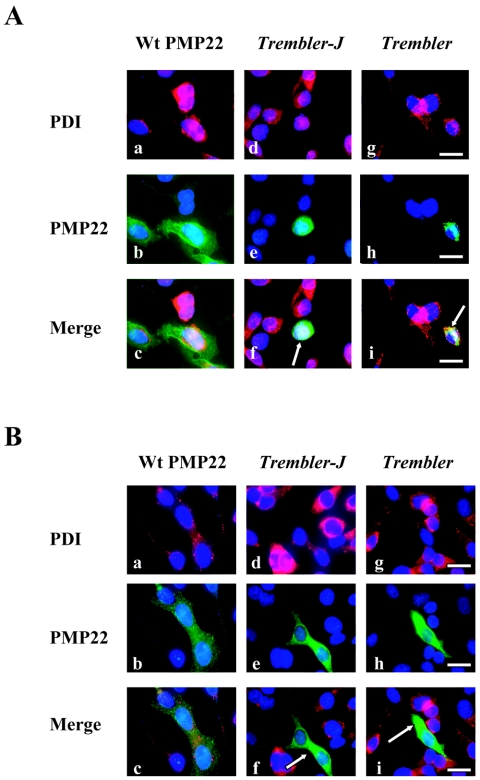 Figure  1. 