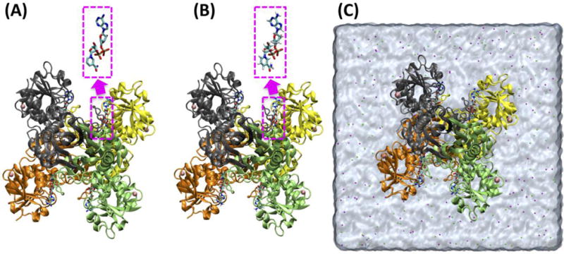 Figure 5