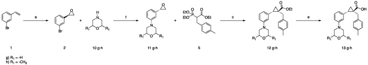 Scheme 2