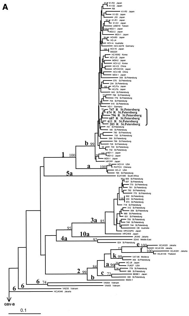 FIG. 2.