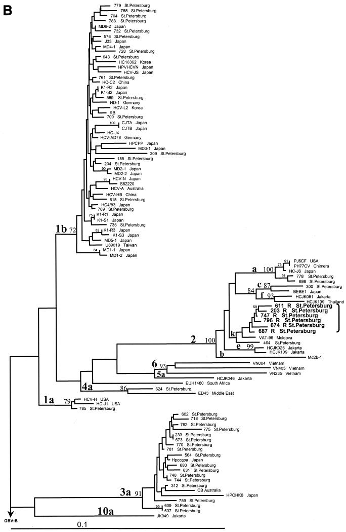 FIG. 2.