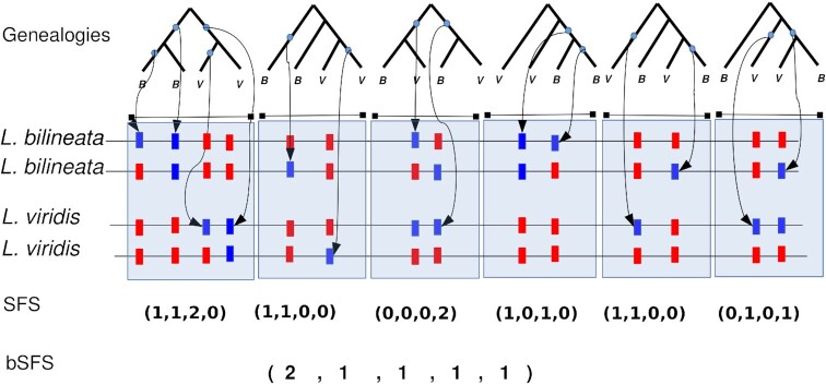 Figure 3: