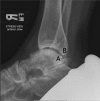 Fig. 3