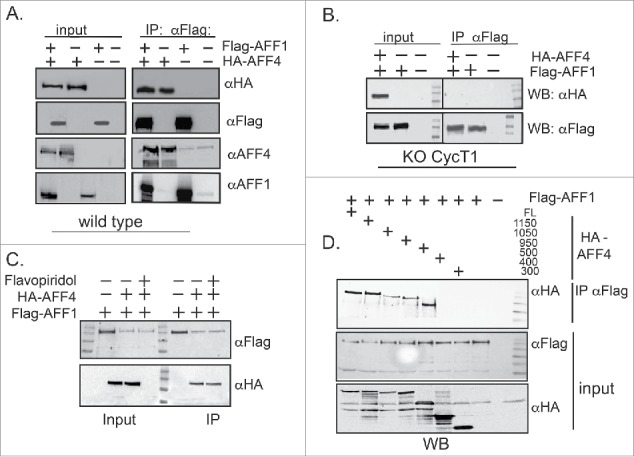 Figure 4.