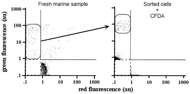 FIG. 3