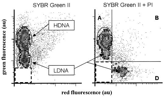 FIG. 7