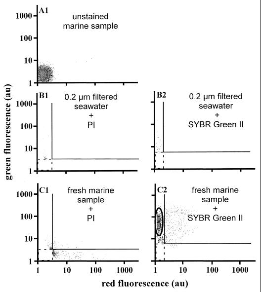 FIG. 1