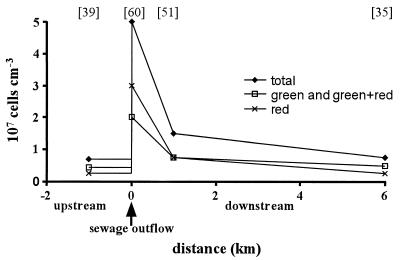 FIG. 5