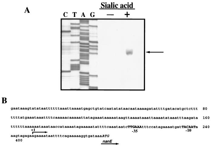 FIG. 6