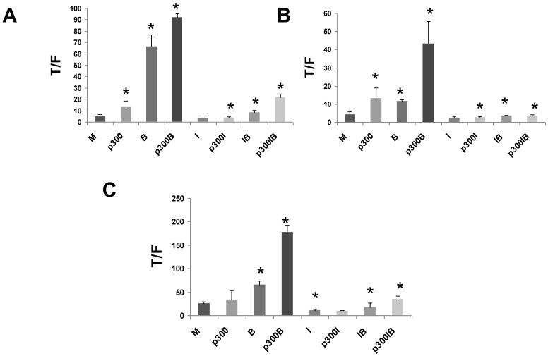 Fig 6