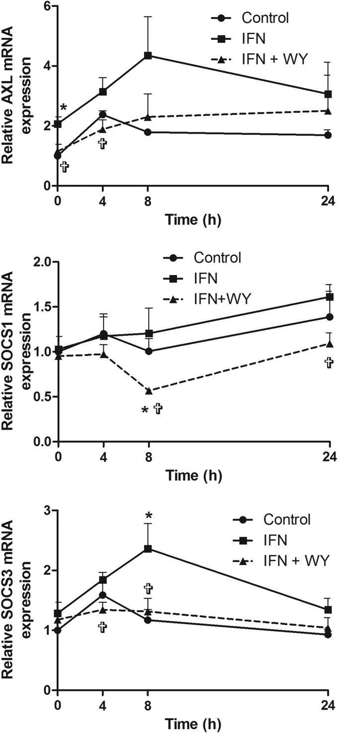 FIG. 6.