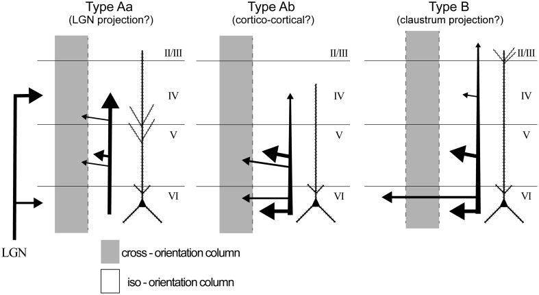 Fig. 10