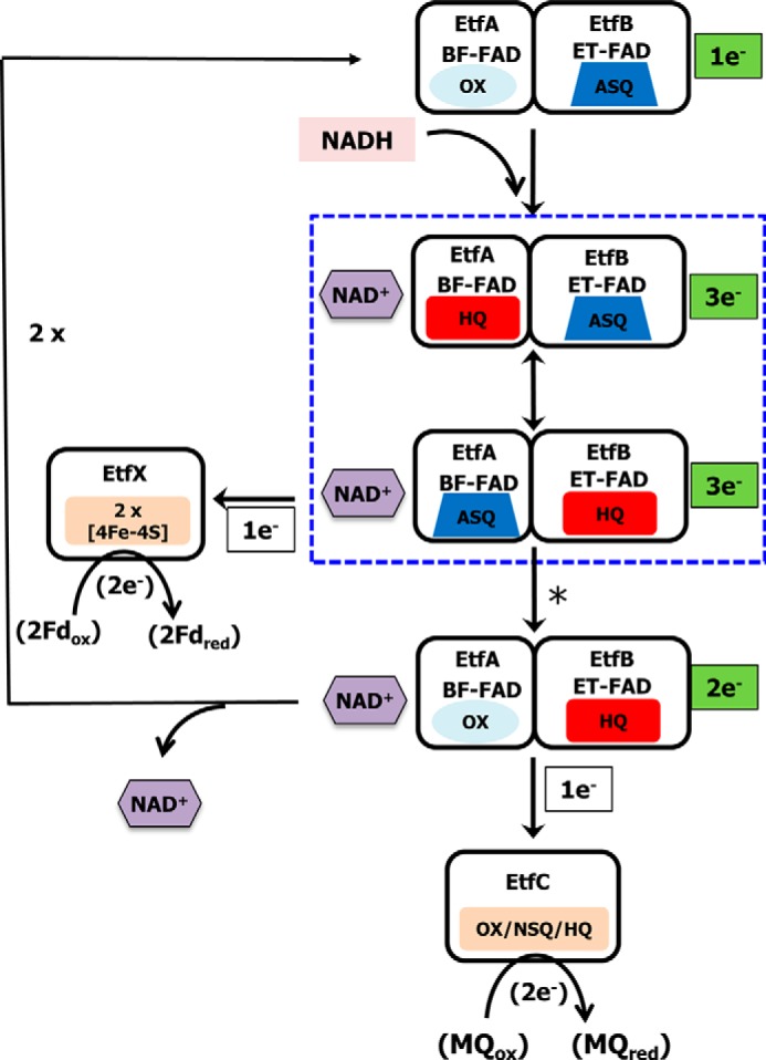 Figure 6.