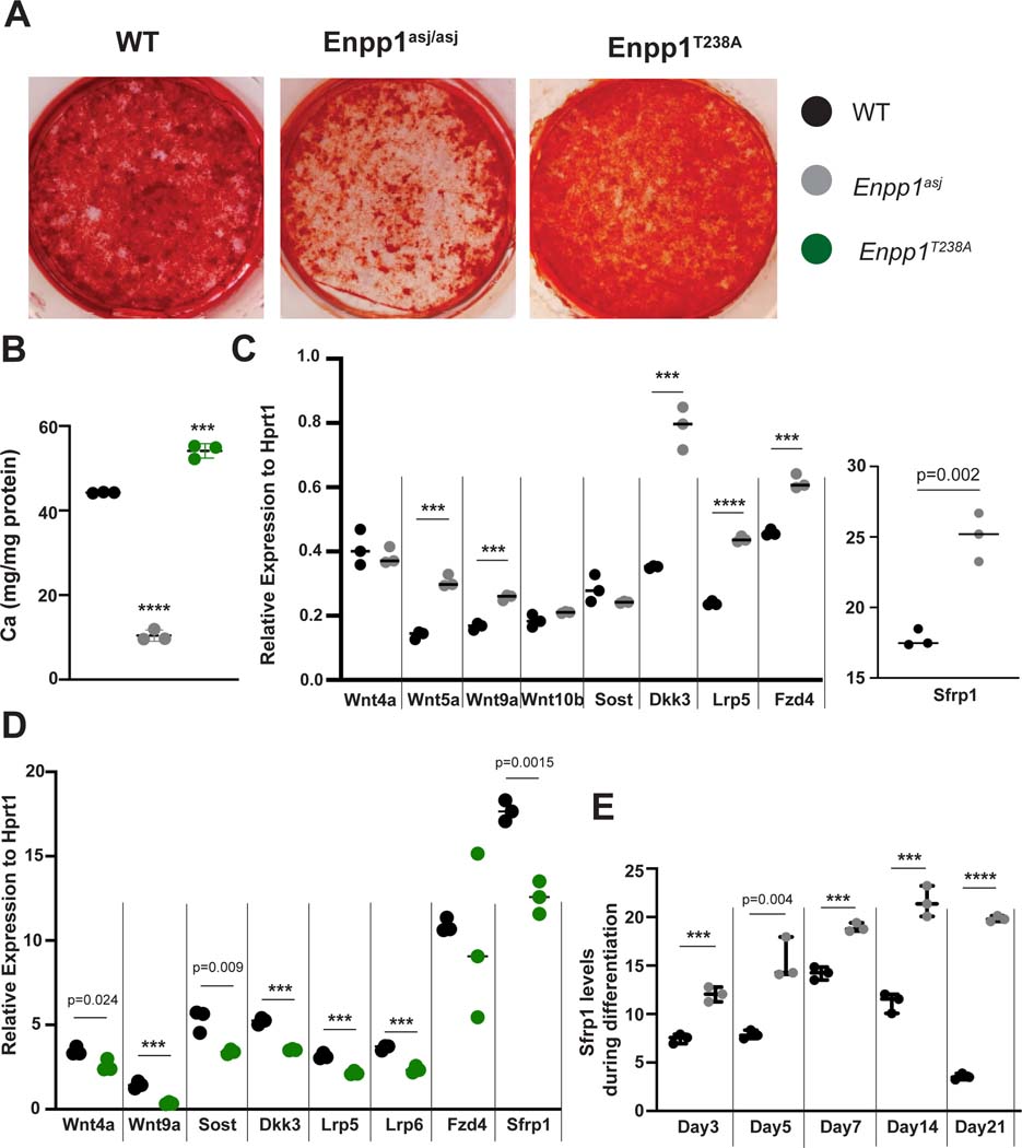 Figure 6: