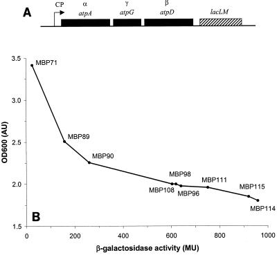 FIG. 3.