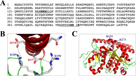 FIG. 4.