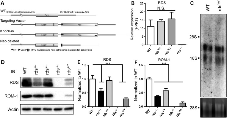 Figure 1.