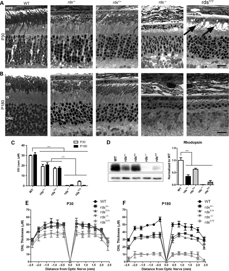 Figure 4.