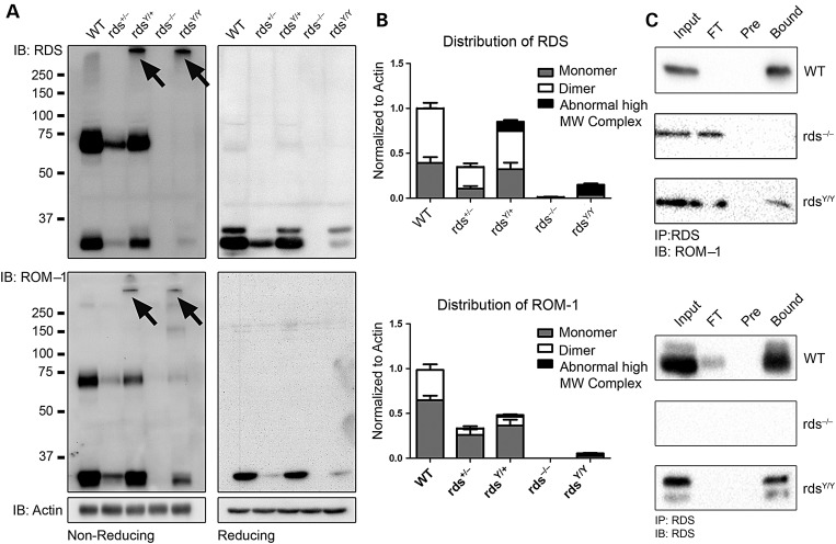 Figure 6.