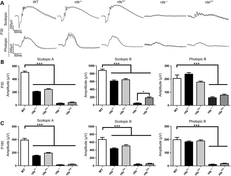 Figure 3.