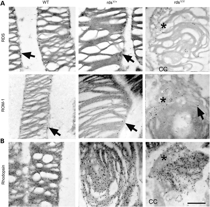 Figure 10.