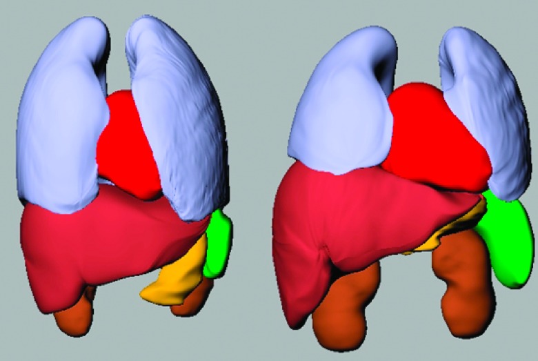 FIG. 7.