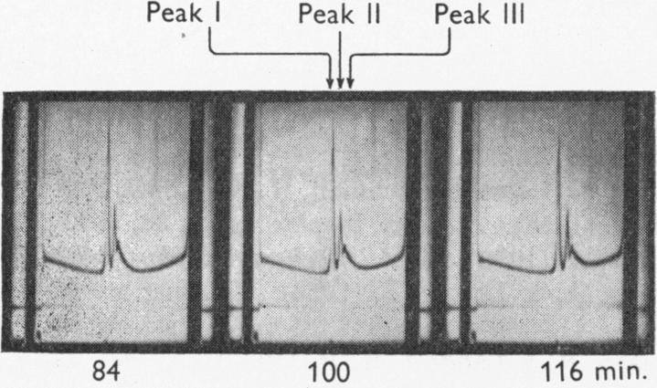 Fig. 9.