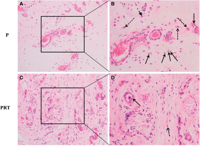 Figure 7.