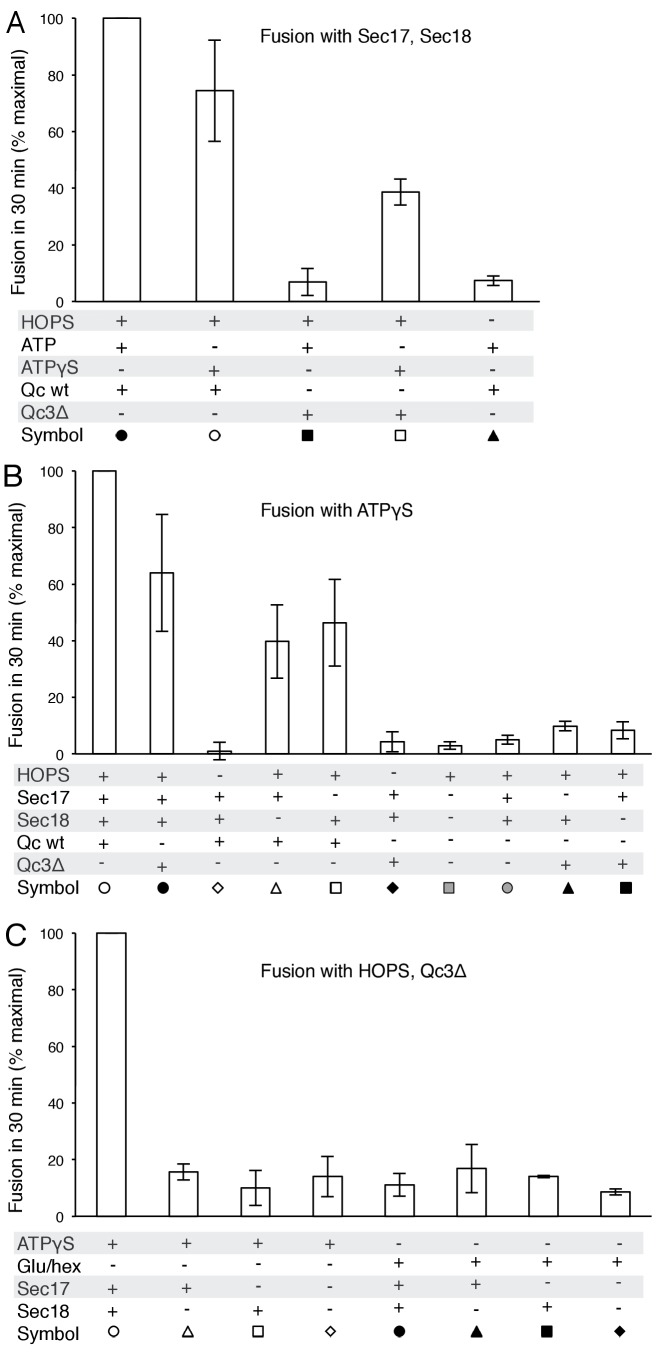 Figure 5—figure supplement 1.