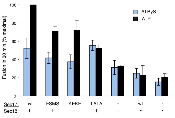 Figure 3—figure supplement 1.