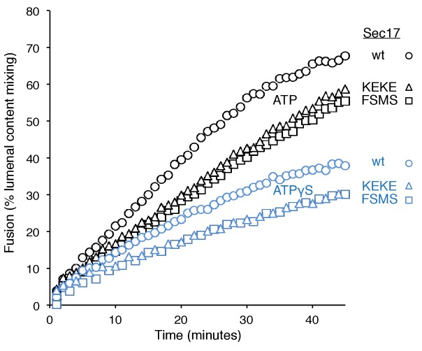 Figure 3—figure supplement 4.