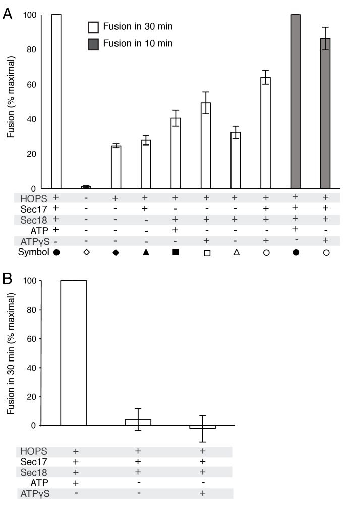 Figure 2—figure supplement 1.