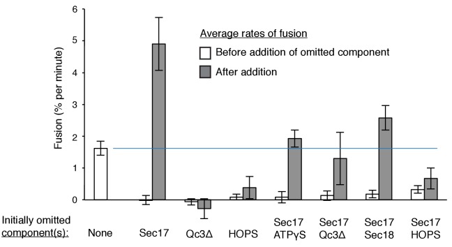 Figure 7—figure supplement 1.