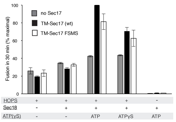 Figure 4—figure supplement 1.