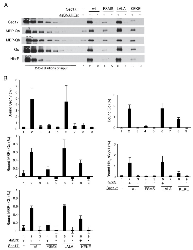 Figure 3—figure supplement 2.