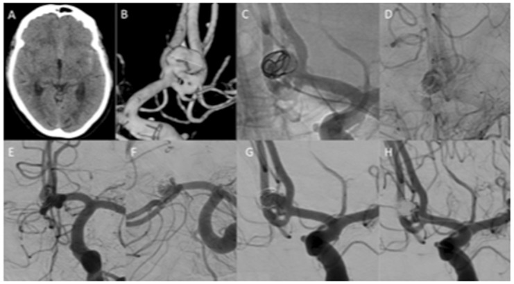 Figure 2.