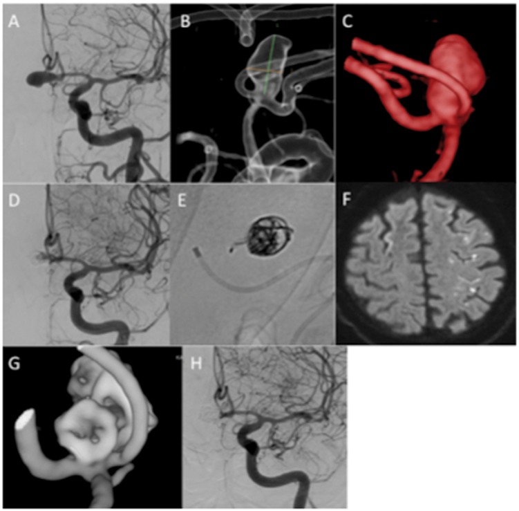 Figure 6.